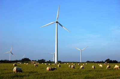 stockvault-sheeps-and-windmills112833.jpg